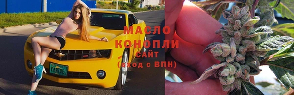 стаф Арсеньев