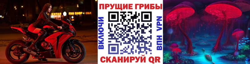 Псилоцибиновые грибы мицелий  что такое наркотик  Багратионовск 